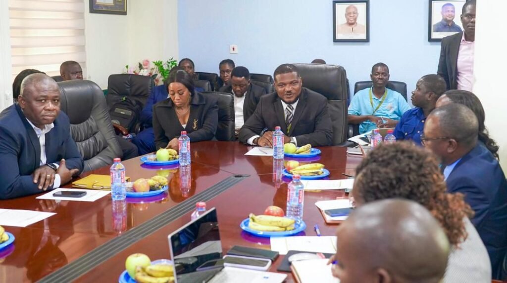 USHIRIKISHWAJI WA WAZAWA KATIKA SEKTA YA MADINI-pesatu.co.tz