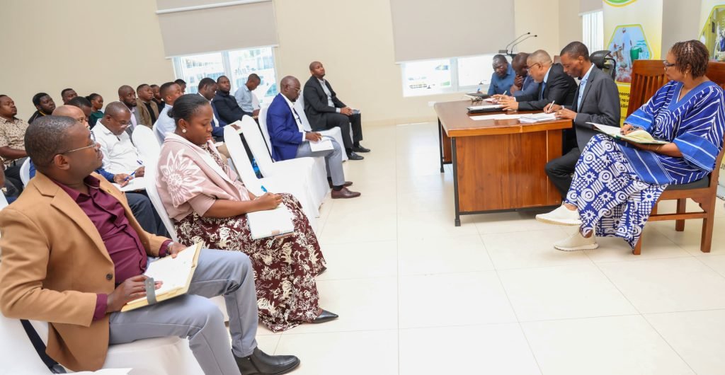 SERIKALI INAVYOJIPANGA UTEKELEZAJI WA UMEME VIJIJINI 5 SERIKALI INAVYOJIPANGA UTEKELEZAJI WA UMEME VIJIJINI-pesatu.co.tz