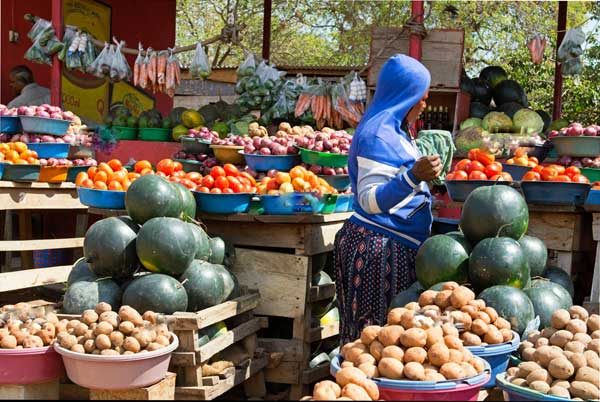 TRA YAZIDI KUKAZA MWENDO DHIDI YA UKWEPAJI WA KODI NCHINI - pesatu.co.tz