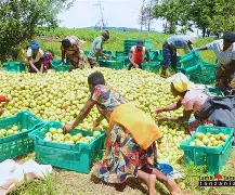 MAPINDUZI YA KILIMO NA UFUGAJI MAGEREZA TANZANIA  -pesatu.co.tz