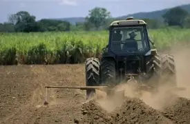 MAPINDUZI YA KILIMO NA UFUGAJI MAGEREZA TANZANIA  -pesatu.co.tz