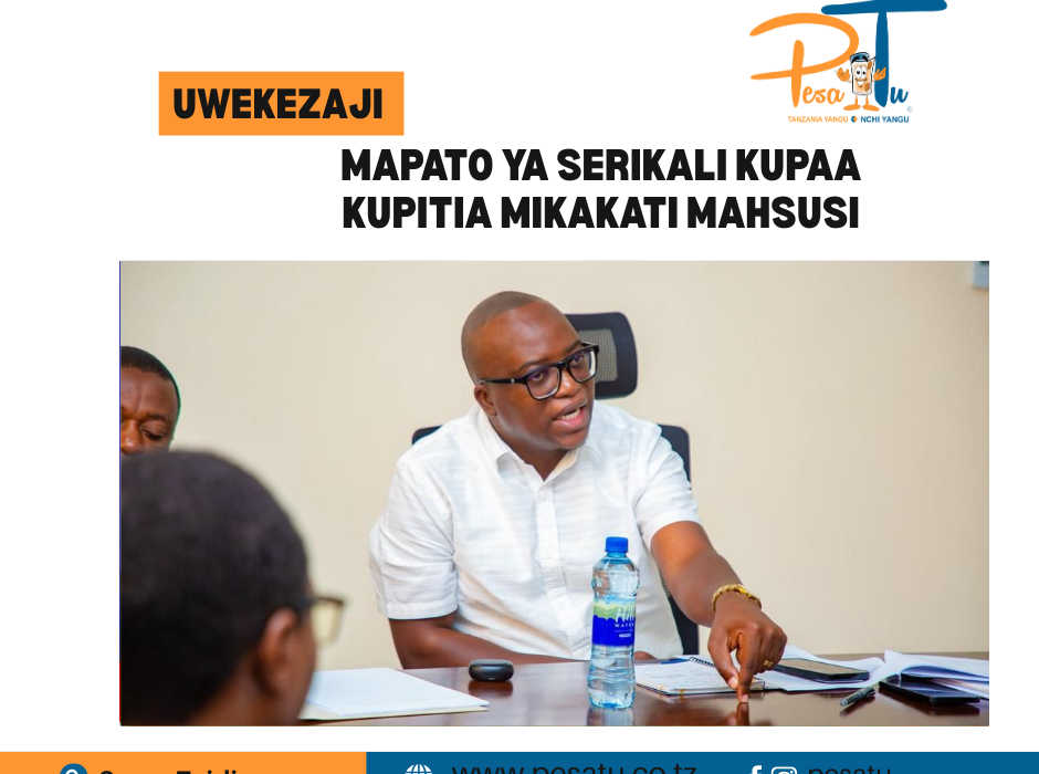 MAPATO YA SERIKALI KUPAA KUPITIA MIKAKATI MAHSUSI -pesatu.co.tz