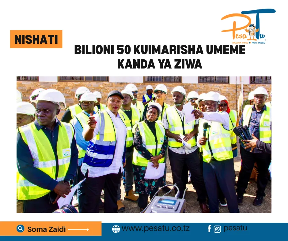 BILIONI 50 KUIMARISHA UMEME KANDA YA ZIWA -pesatu.co.tz