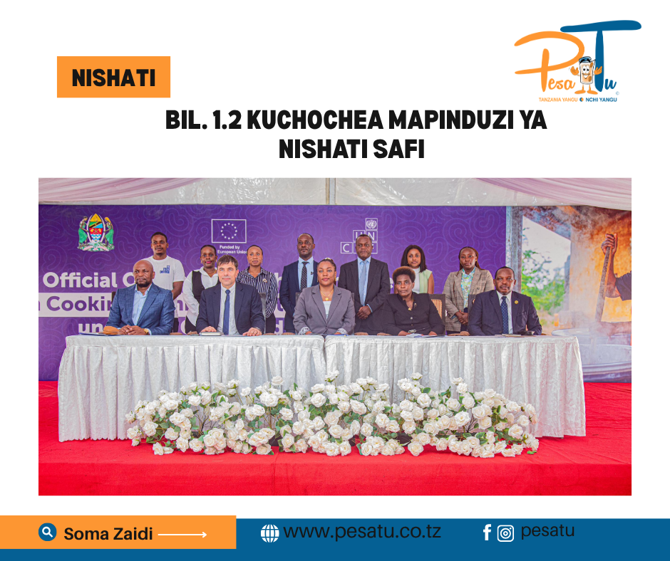 BIL. 1.2 KUCHOCHEA MAPINDUZI YA NISHATI SAFI -pesatu.co.tz