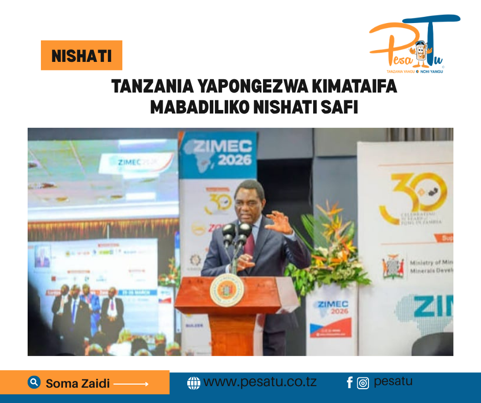 TANZANIA YAPONGEZWA KIMATAIFA MABADILIKO NISHATI SAFI -pesatu.co.tz