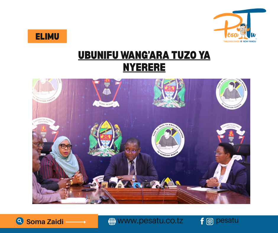UBUNIFU WANG’ARA TUZO YA NYERERE -pesatu.co.tz