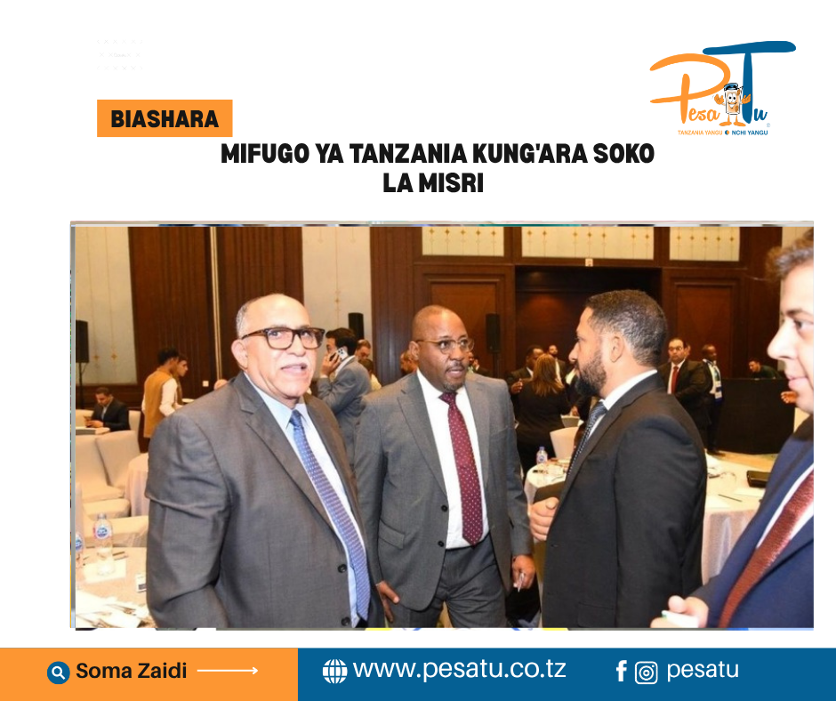 MIFUGO YA TANZANIA KUNG'ARA SOKO LA MISRI 7 MIFUGO YA TANZANIA KUNG'ARA SOKO LA MISRI-pesatu.co.tz