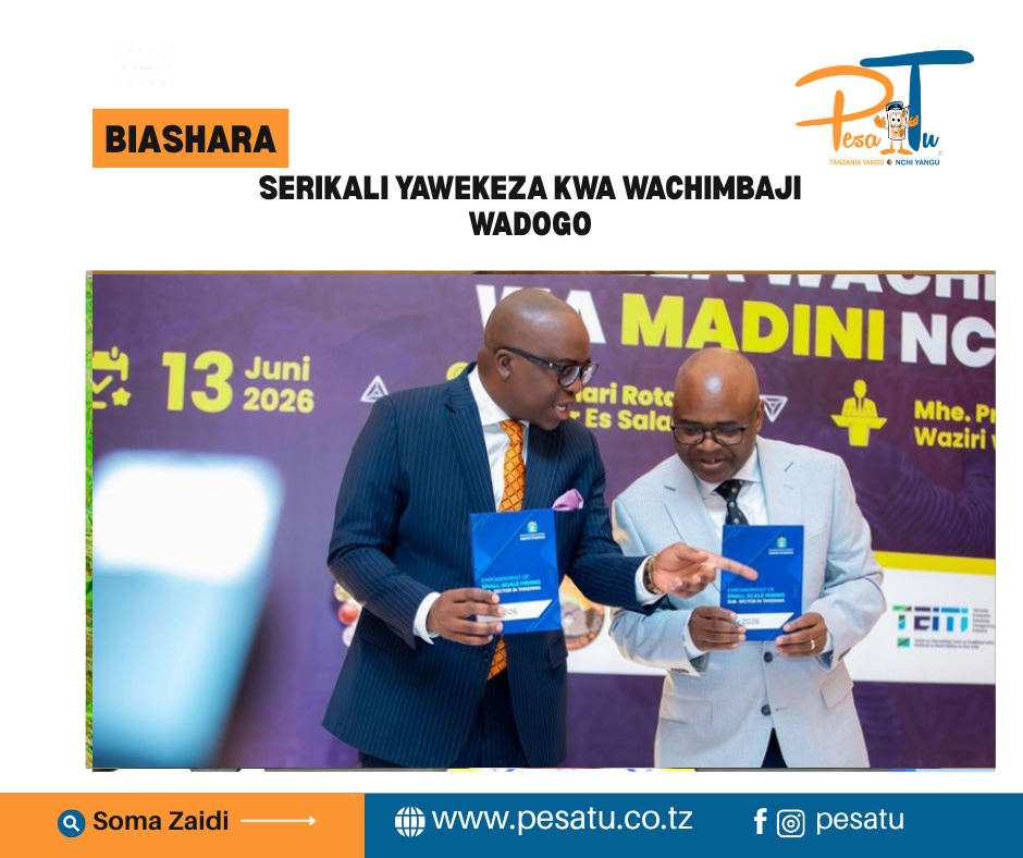 SERIKALI YAWEKEZA KWA WACHIMBAJI WADOGO 1 SERIKALI YAWEKEZA KWA WACHIMBAJI WADOGO-pesatu.co.tz