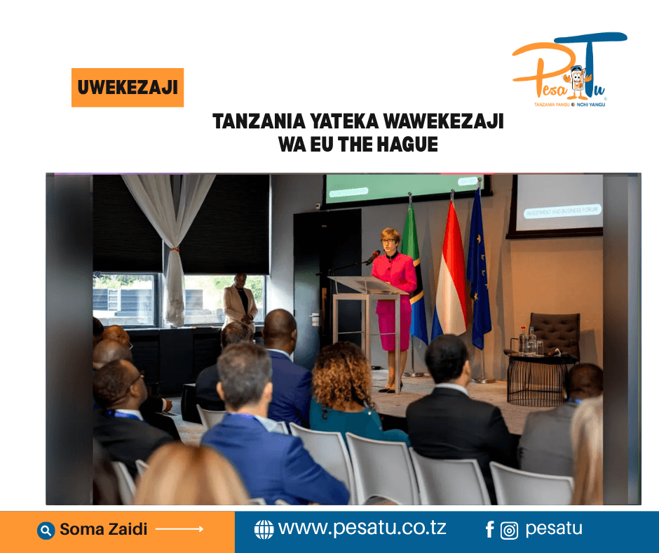 TANZANIA YATEKA WAWEKEZAJI WA EU THE HAGUE 1 TANZANIA YATEKA WAWEKEZAJI WA EU THE HAGUE-pesatu.co.tz